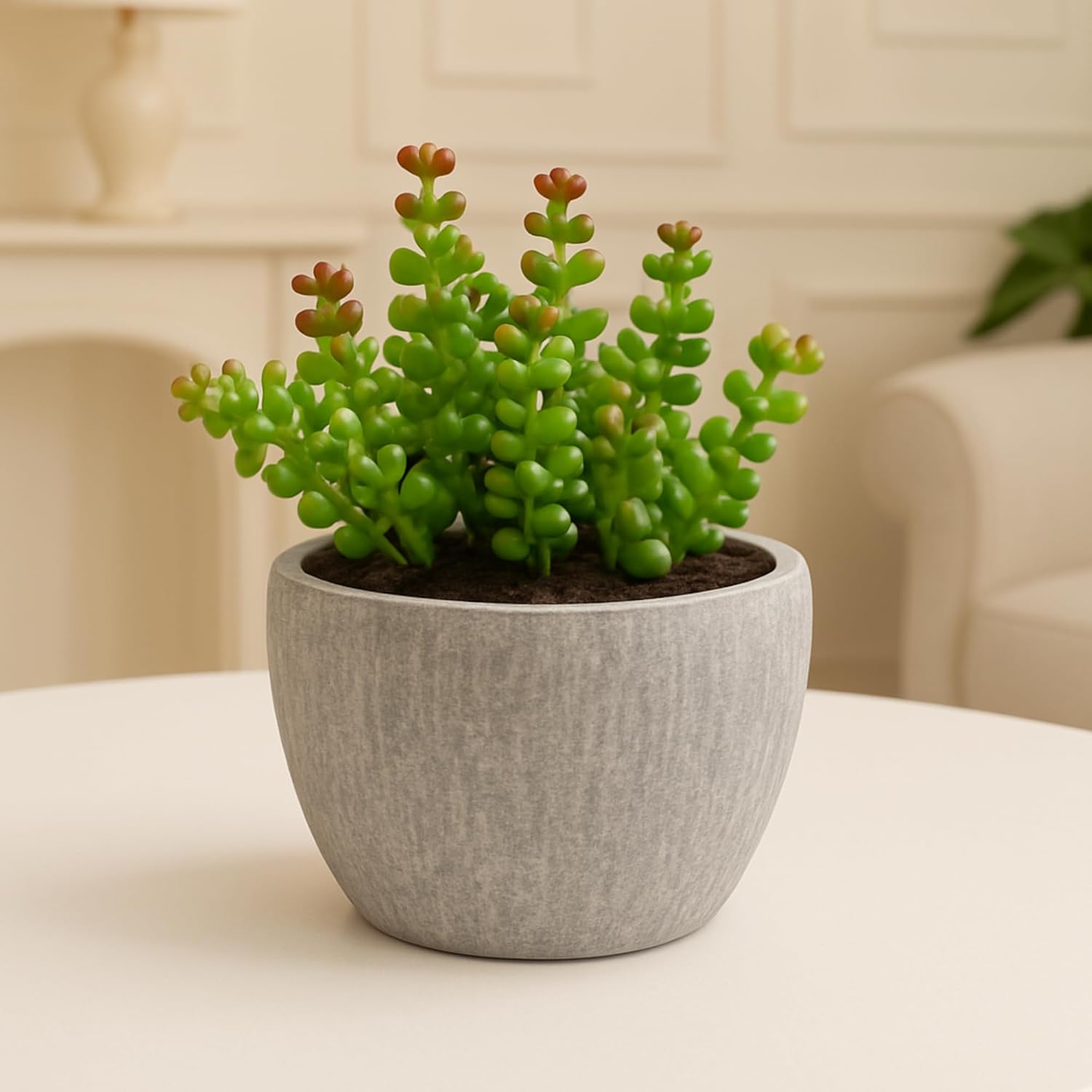 artificial jade plant DailyAlley Artificial Jade Plant
