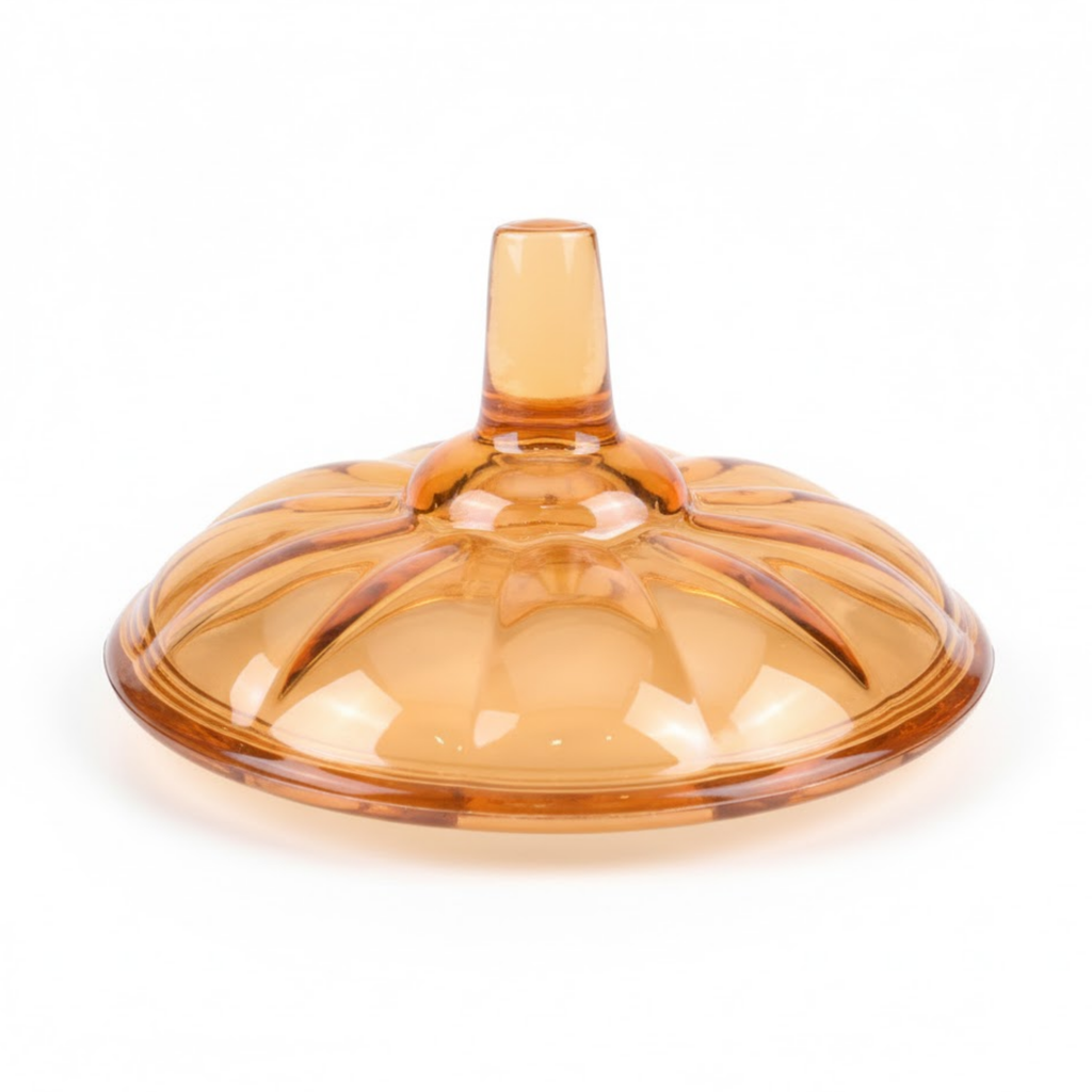 Pumpkin Food Storage Dailyalley