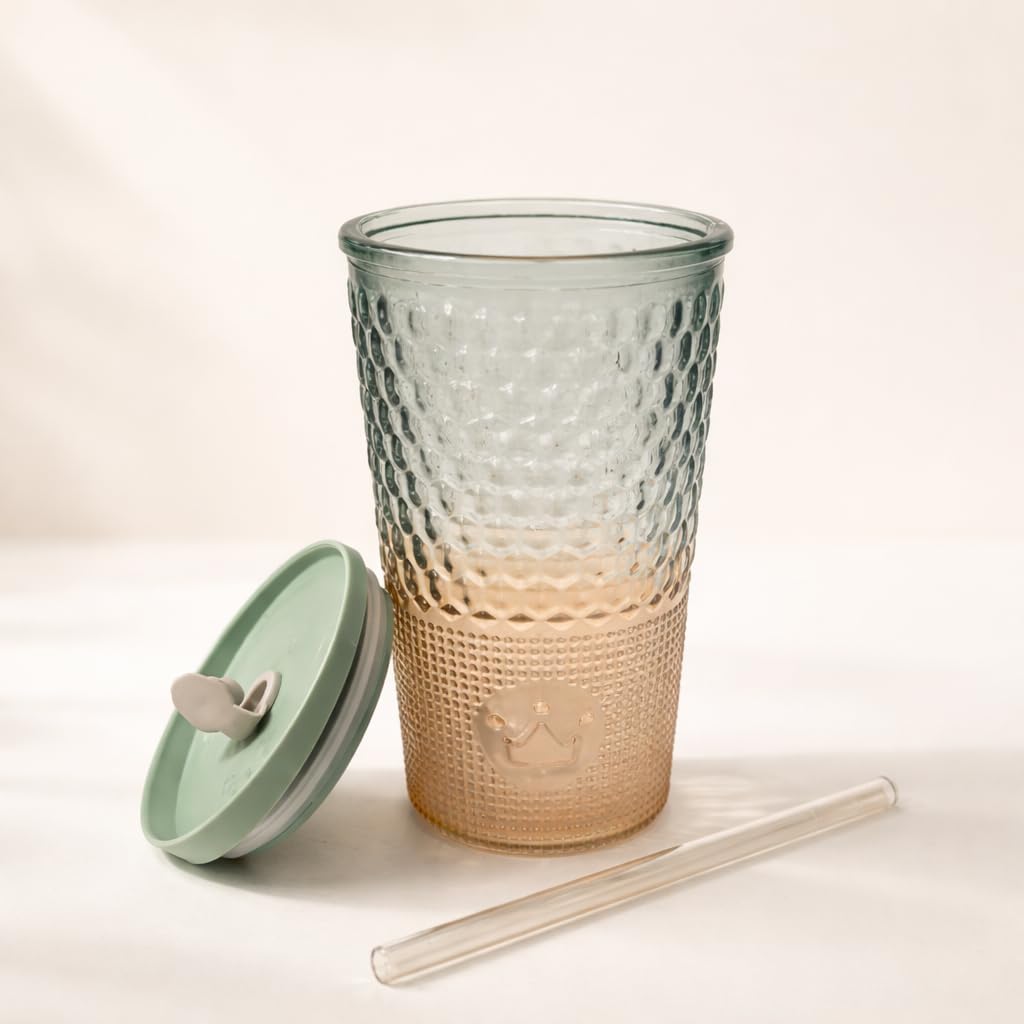 Glass Sipper Set of 2 with Lid & Straw (400ml Each)