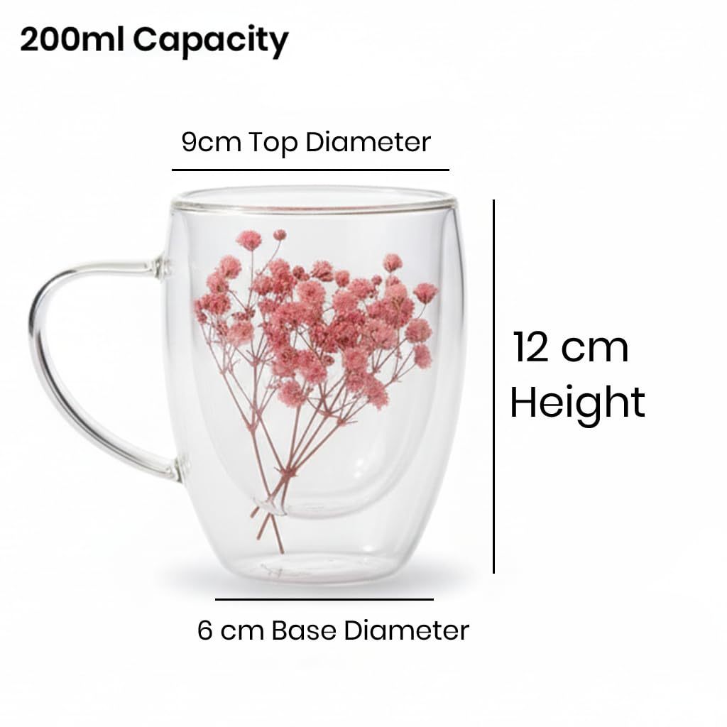 Floral Glass Cup (Pack of 2) | Transparent Double Wall Mug with Flowers