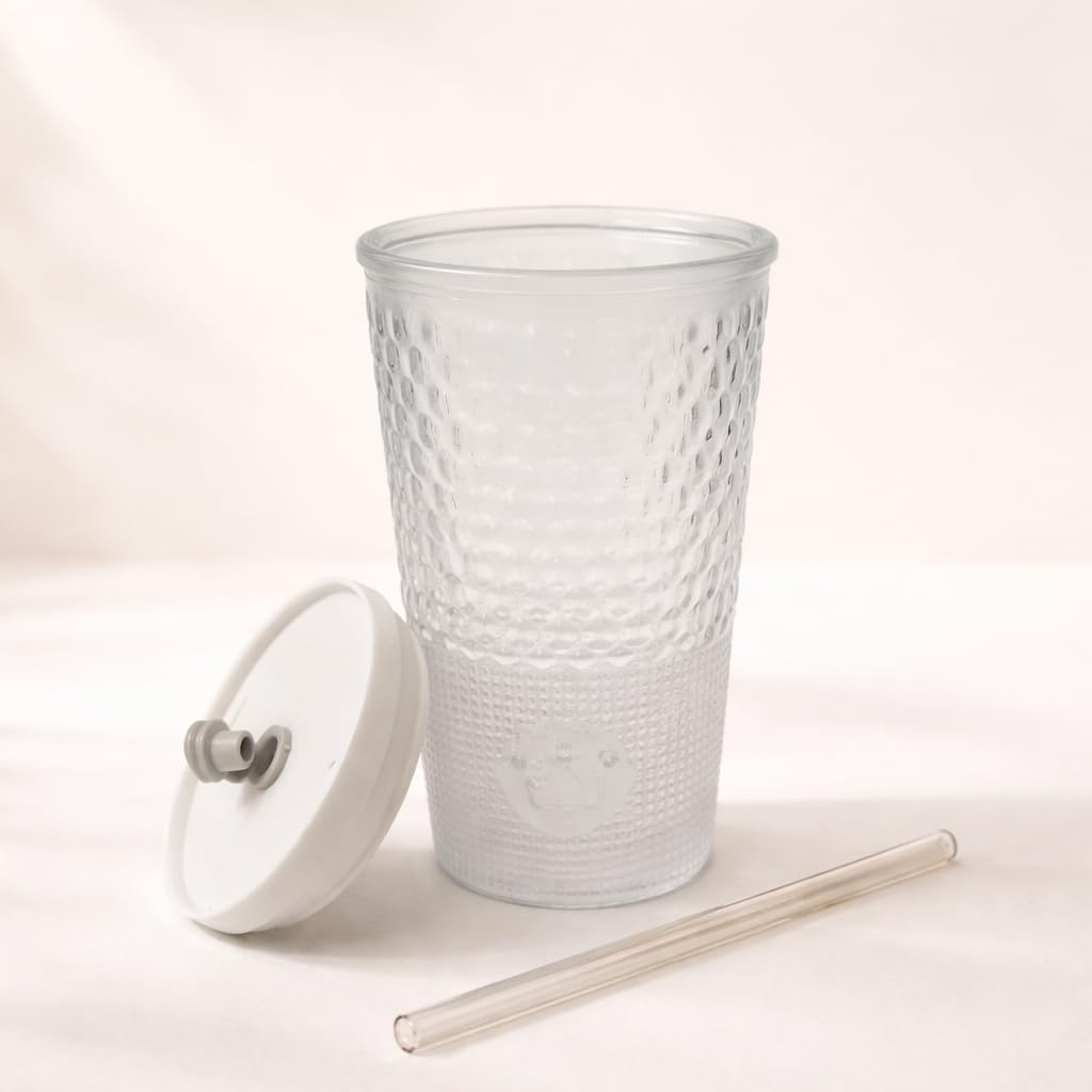 Glass Sipper Set of 2 with Lid & Straw (400ml Each)