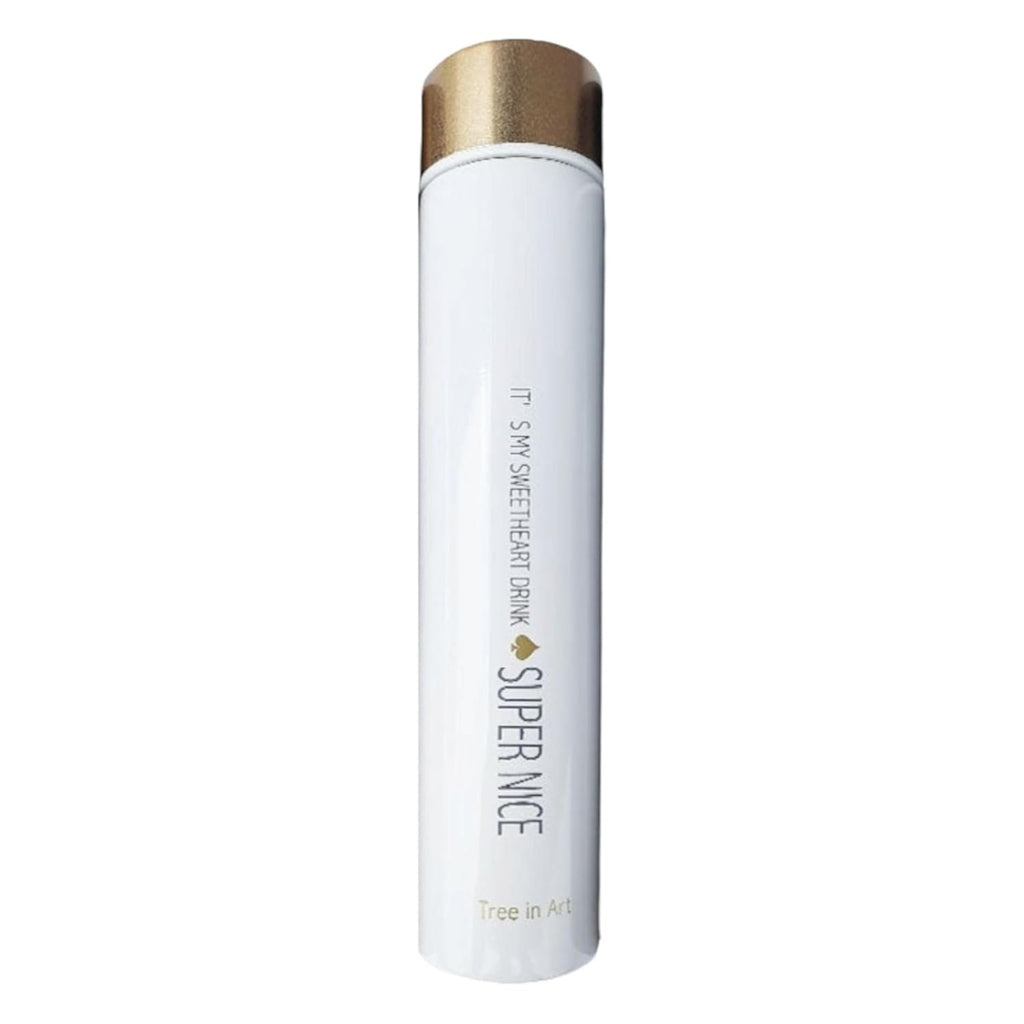 DailyAlley Slim Insulated Bottle: 250ml Stainless Steel Mini Thermos. Leakproof, travel-friendly for the office & gym. Keeps drinks hot or cold. Dailyalley