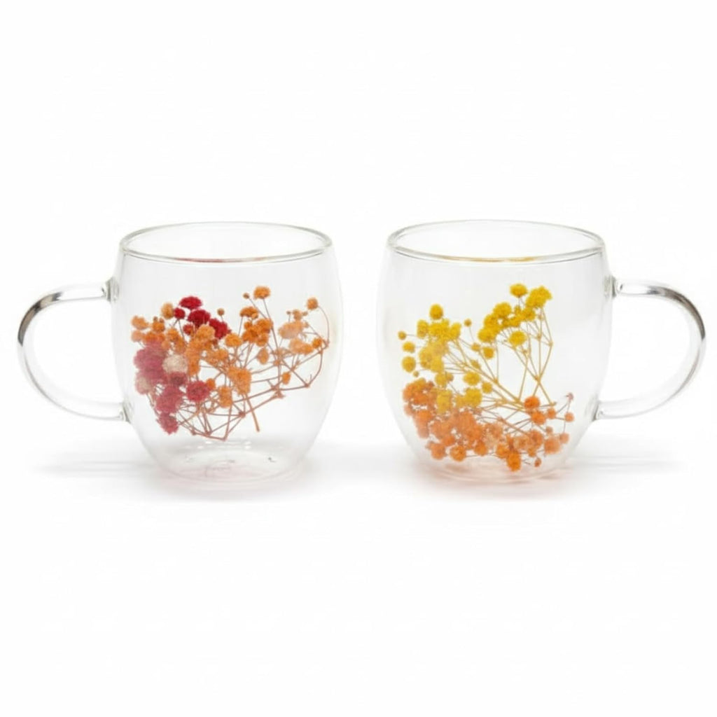 Dried Flower Double Wall Glass Coffee Mugs (Set of 3) | 350ml Borosilicate Insulated Cups w/ Handle | Floating Effect Tea Gift Dailyalley