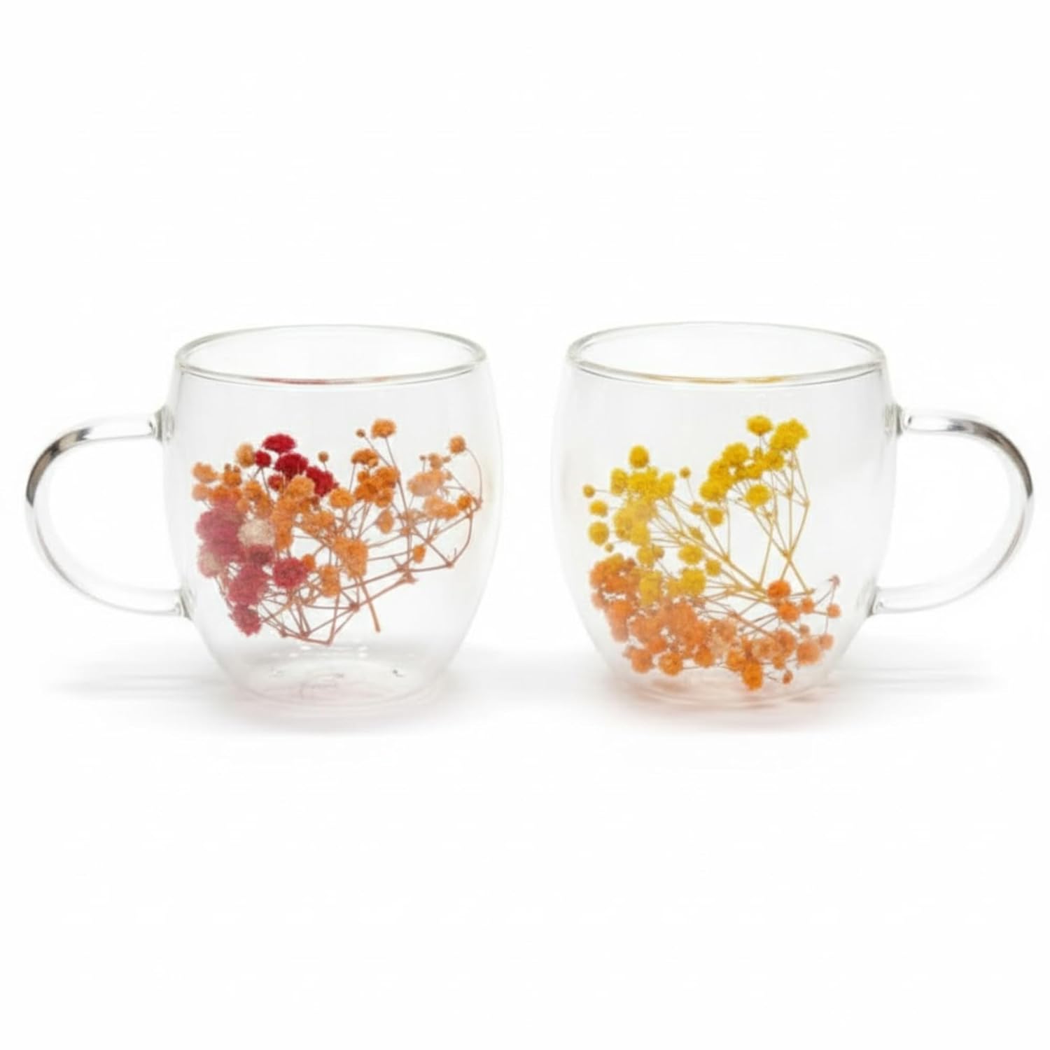 Dried Flower Double Wall Glass Coffee Mugs (Set of 3) | 350ml Borosilicate Insulated Cups w/ Handle | Floating Effect Tea Gift Dailyalley