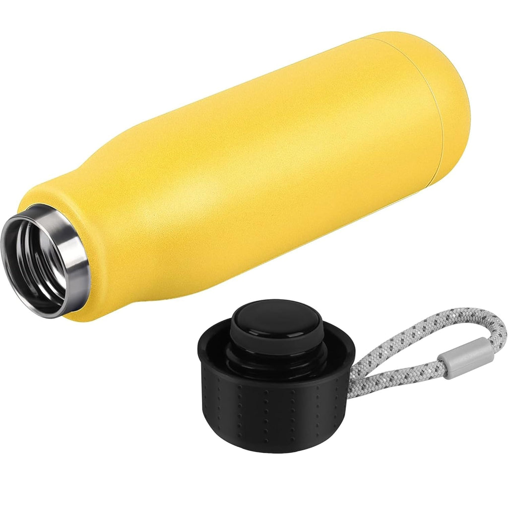 DailyAlley 550ml Insulated Steel Bottle | Hot & Cold Thermos Flask | Leakproof Cap with Carry Loop for Gym, Office & Travel | BPA-Free (Golden) Dailyalley