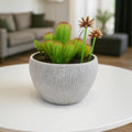 DailyAlley Artificial Cactus Plant - A realistic, long-lasting faux green plant with a decorative pot, perfect for home, office, or living room decor. Dailyalley