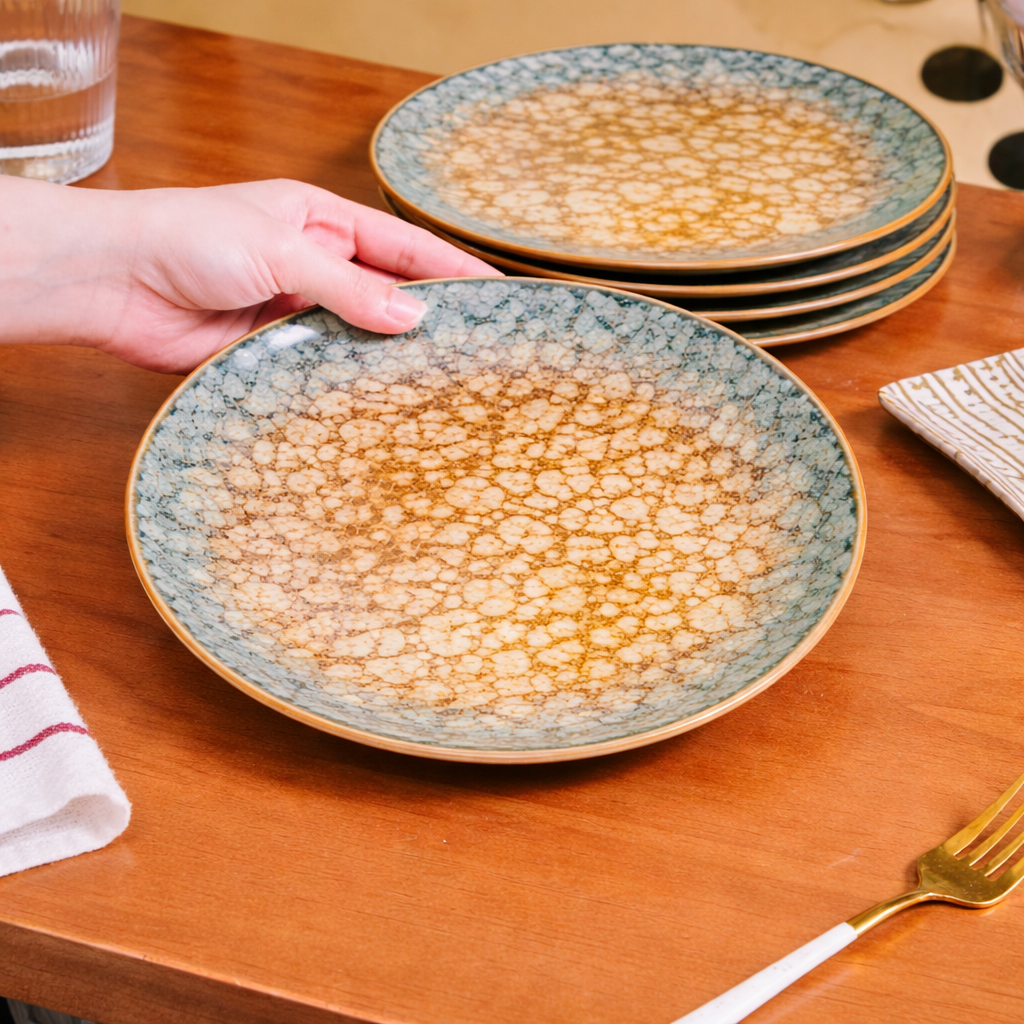 Ceramic Dinner Plate Set Of 6 11 Inch